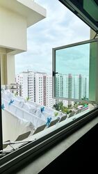 punggol-field photo thumbnail #11